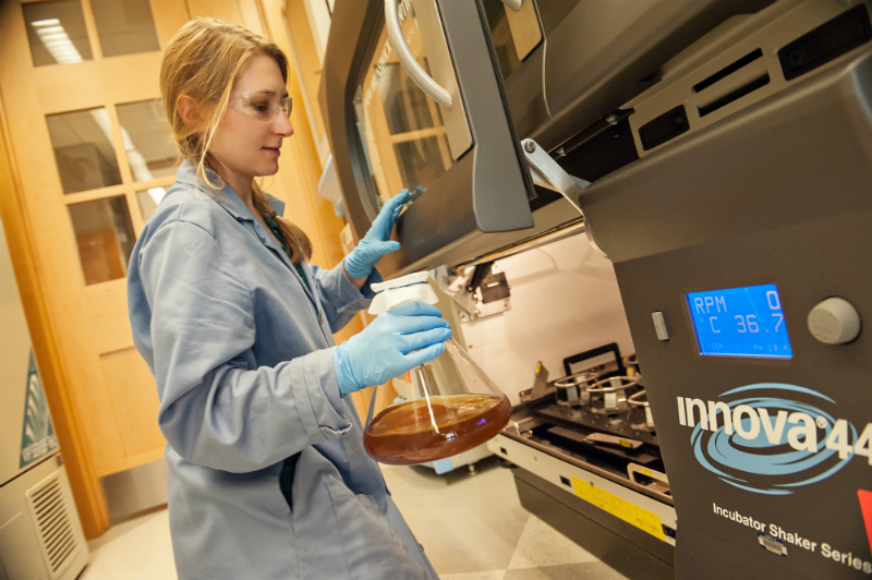 A chemical biology student conducts an experiment