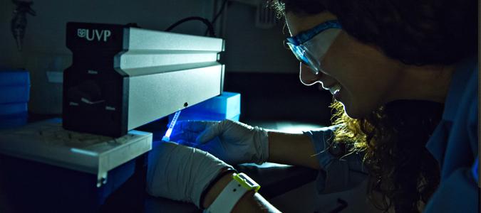 A chemical biology student conducts an experiment