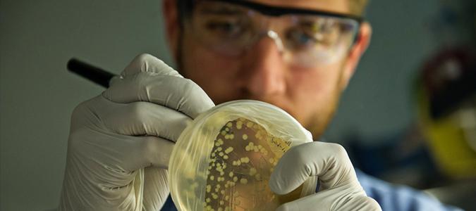 A chemical biology student conducts an experiment